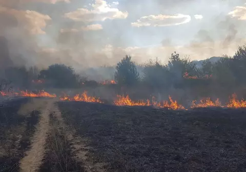 Incendiu la Hipodromul din parcul „Nicolae Romanescu” din Craiova. Au ars 10 hectare de vegetație