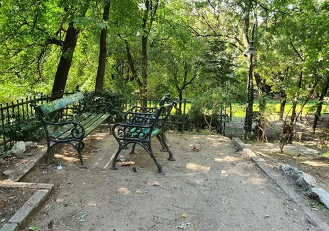 Cum arată Parcul Cișmigiu, după curățenia anunțată de Nicușor Dan acum trei săptămâni