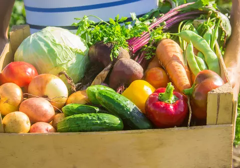 Zece legume minune pentru sănătate. Ar trebui să le mănânci zilnic