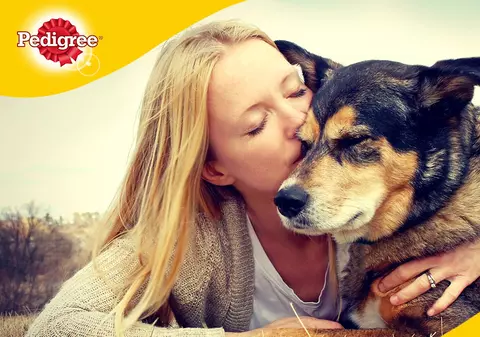 Resturile alimentare provenite din gospodăriile oamenilor, administrate într-un mod regulat sunt dăunătoare pentru animalele de companie