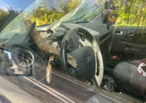 Un copac s-a prăbușit peste un autoturism pe Drumul European 581. O bucată de lemn a străpuns parbrizul, rănind șoferul