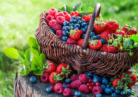 Cum conservi fructele de pădure pentru sezonul rece