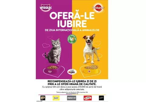 De Ziua Internațională a Animalelor, Pedigree sărbătorește alături de cățeii din adăposturi