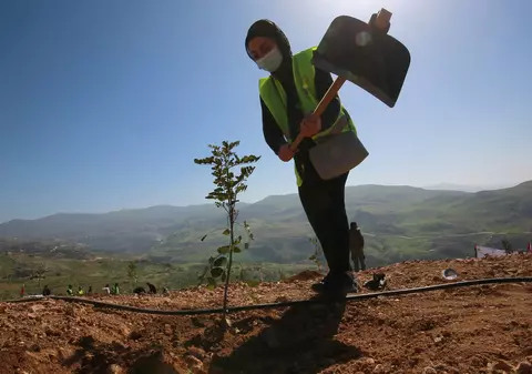 Proiectul încurajator prin care o tânără arhitectă a reușit să crească o pădure în capitala Iordaniei, țară aflată în plin deșert