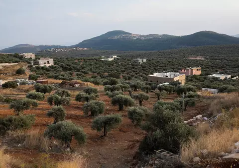 Nu e Spania sau Italia. Ce sat pretinde că face cel mai bun ulei de măsline din lume