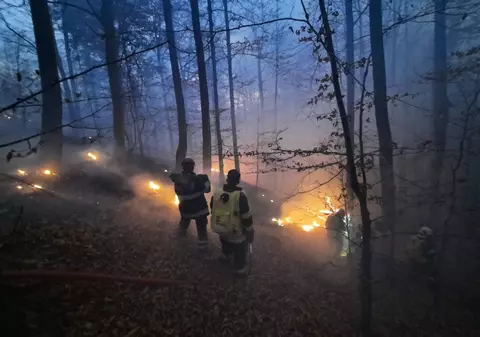 Incendiul din Oituz a fost stins după 10 zile. 35 de hectare de pădure, mistuite de flăcări