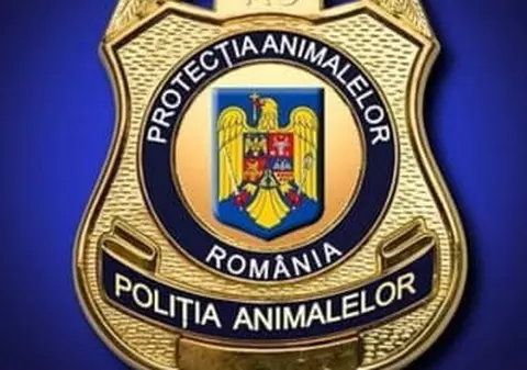 Un elev din Brăila s-a filmat când maltratează un pui de pisică. Dosar penal pentru schingiuirea animalelor