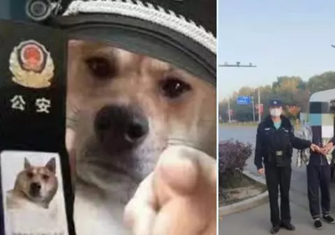 Un chinez a fost arestat după ce a ironizat polițiștii printr-un meme și s-a plâns de măsurile anti-COVID