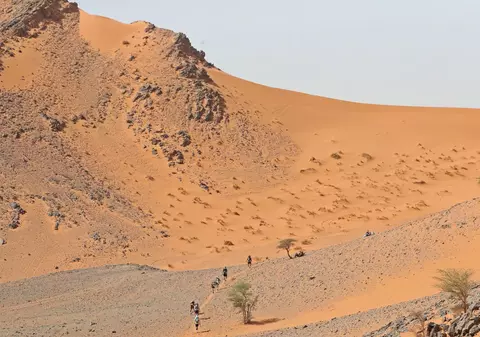 Robotul care plantează seminţe în deşert, invenție prezentată la Global Grad Show din Dubai