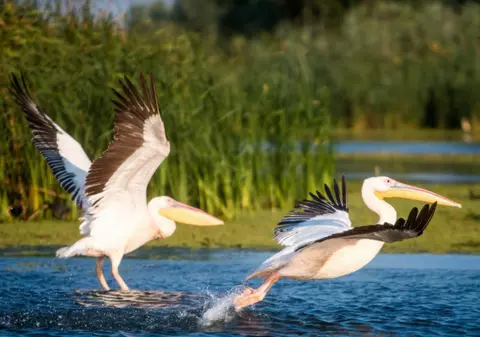 Irezistibil: Black Friday de până la 70% în Delta Dunării