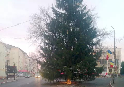 Brad de Crăciun pus de primărie în mijlocul intersecției, într-un oraș din județul Vrancea
