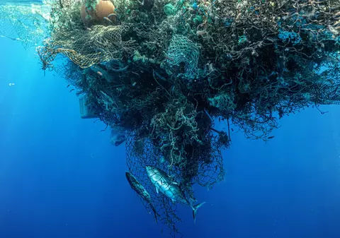 Marea insulă de gunoi din Pacific a devenit atât de mare, încât pe ea s-a dezvoltat un întreg ecosistem