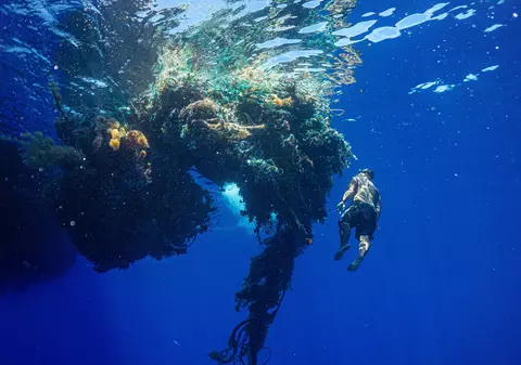 Oamenii de știință au descoperit un ecosistem marin în zona cunoscută drept „Marele petic de gunoi al Pacificului”