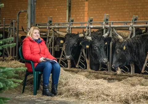 Vaccinare printre văcuțe. Într-un sat din Germania, imunizarea anti-COVID se face la fermă