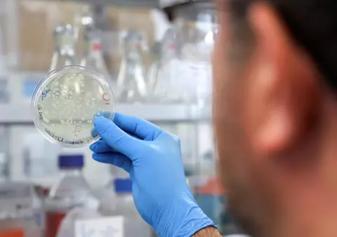 Un microbiolog arată cum, din cele 100 de zile necesare unui vaccin contra Omicron, 90% sunt folosite pentru testele de siguranță