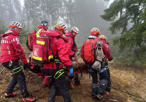 Doi bărbaţi au murit, în timp ce tăiau ilegal lemne într-o pădure din Bistrița-Năsăud. Un copac s-a prăbușit peste ei