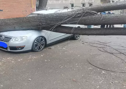 Trei mașini, distruse în Vaslui de un copac doborât de vântul puternic. Rafalele de peste 80 km/h au creat probleme în întregul județ