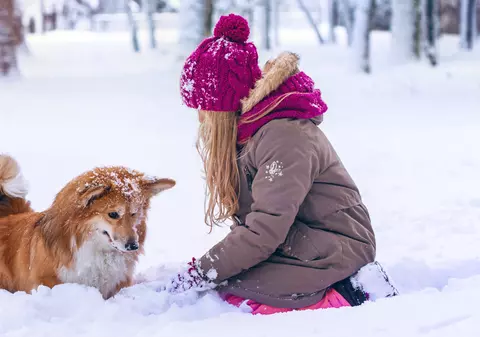 O fetiță din Rusia a supraviețuit unei nopți cu furtună de zăpadă îmbrățișând un câine ca să se încălzească