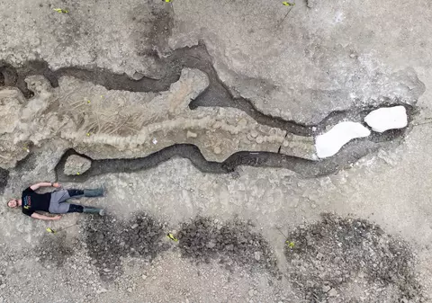 Rămăşiţele vechi de milioane de ani, ale unui prădător marin, lung de 10 metri, descoperite în Anglia