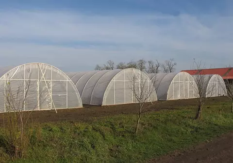 Avem folie seră orice tip care te ajută să pornești o afacere de succes