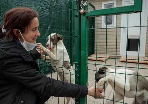 Acasă la motanul Putin şi câinele Zelenski. 30 de animale salvate din Ucraina şi-au găsit salvarea la un adăpost din Cernavodă