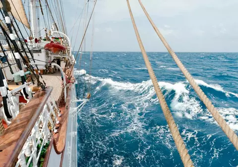 Povestea universității-vapor care adună studenți din toată lumea și face ocolul Pământului. Cât costă un loc la bord?