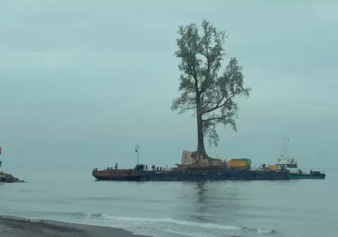 Oameni și rădăcini. Un film care merită văzut