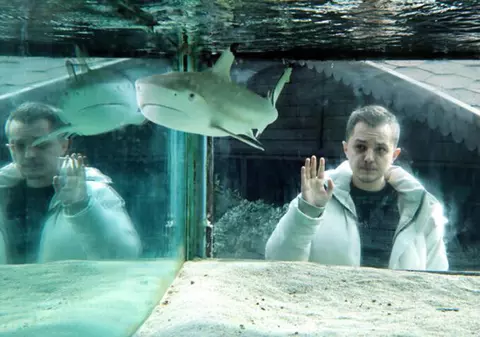 Un rechin captiv într-un acvariu, atracția unui club de noapte din Turcia, timp de 10 ani