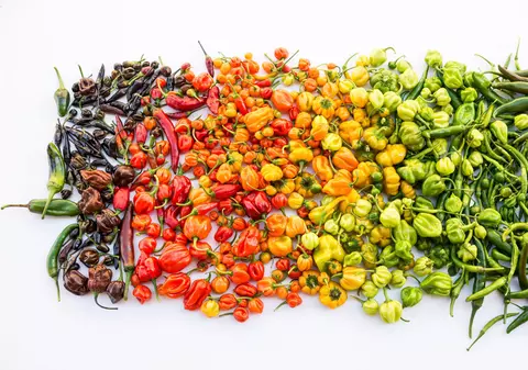 Cei mai iuți ardei. Câte unități pe scara Scoville are cel mai iute ardei