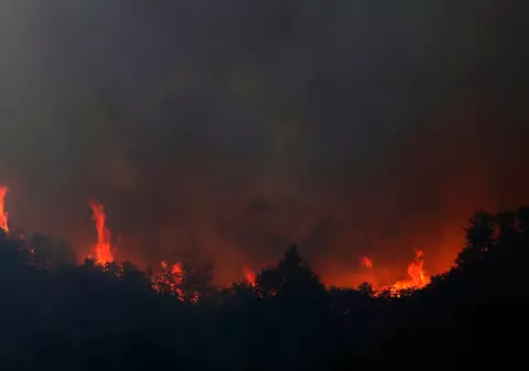 Argentina se confruntă cu incendii puternice de vegetație. „Sunt distruse cam 20.000 de hectare pe zi”