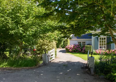 Amenajarea unei grădini în curte: 6 sfaturi