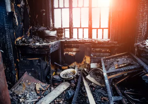 FOTO. O pisică a salvat un rus din incendiul care mistuia casa acestuia