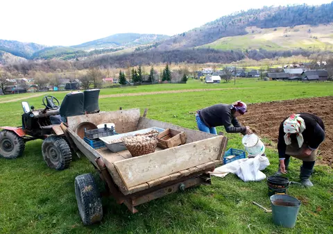 Frica unui agricultor ucrainean refugiat la Suceava: „Zelenski ne-a spus să revenim, că nu ne va mobiliza dacă însămânțăm. Dar dacă ne recrutează apoi?”