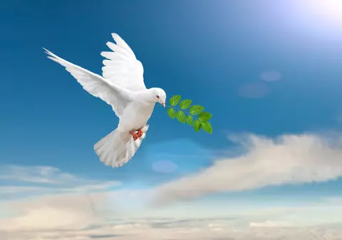 Ce simbolizează porumbelul. Lucruri mai puțin știute despre aceste păsări