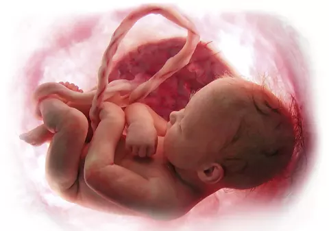 Placenta, comoara medicală nebănuită, i-ar putea salva viața copilului tău chiar și peste decenii