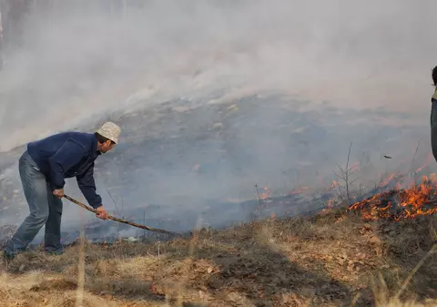 A crescut numărul incendiilor de vegetație în toată țara. Agronomii avertizează: solul nu devine mai fertil, „când arzi un pământ, îl distrugi”