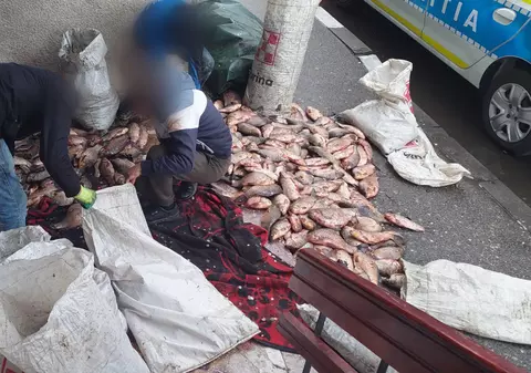 Braconieri prinși cu jumătate de tonă de pește din râul Olt, în plin sezon de prohibiție