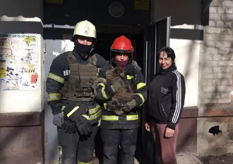 VIDEO| O pisică a supraviețuit două săptămâni sub o canapea, la etajul 4 dintr-un bloc bombardat de ruși, în Harkov