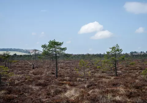 „Spirală de autodistrugere”. ONU avertizează că schimbările climatice provocate de om au crescut numărul dezastrelor în lume