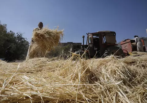 Presa rusă scrie că „avem grâul, dar aproape 90% din brutăriile noastre folosesc tehnologie din Europa”. Ce se poate întâmpla