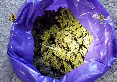 Grupare de traficanți de droguri destructurată de DIICOT la Oradea. Cinci tineri au fost reținuți