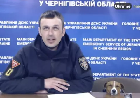 Faimosul câine Patron, care salvează zilnic ucrainenii de minele lăsate în urmă de ruși, surprins când trage un pui de somn în timpul unei conferințe de presă