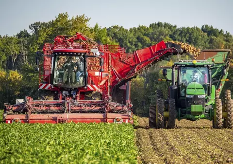 4 recomandări pentru a obține recolte bogate