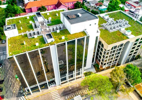 5 beneficii ale acoperișurilor verzi, cea mai nouă tendință în construcții, de la BMI România