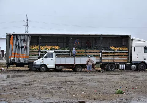 Câte tone de pepeni trebuie să vândă un producător din Dăbuleni ca să-și trimită copilul la o școală bună? Întrebare pentru clasa de mijloc