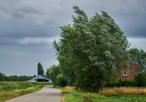 Cod galben emis de meteorologi: mai multe județe vizate de rafale puternice de vânt