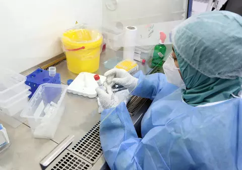 Ministerul Sănătăţii, despre vibrionul holeric depistat în apa Nistrului: „Tulpina izolată nu face parte din categoria celor care provoacă boală la om”