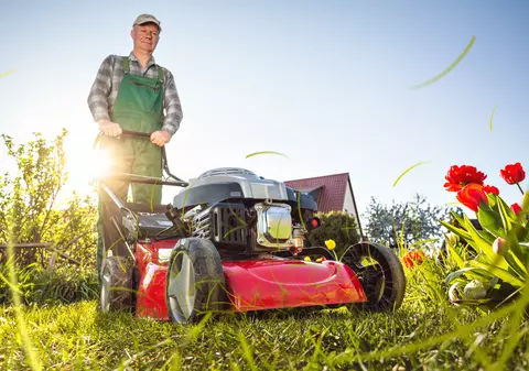 Cele mai bune maşini de tuns iarba