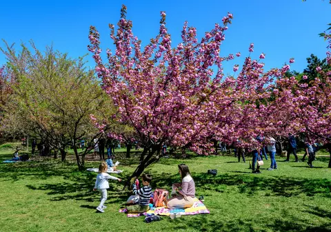Prognoza meteo pentru următoarele două săptămâni. Temperaturi maxime de până la 28 de grade