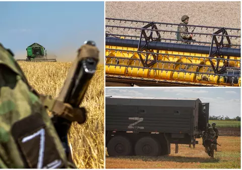 Rușii recunosc că duc cerealele din Ucraina la Moscova. Soldați înarmați păzesc secerișul: „Asigurăm securitatea alimentară a statului”